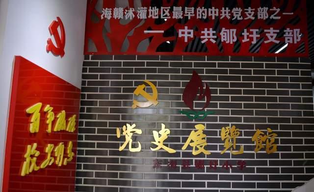 几只长寿三代的“高寿”狗狗,有一只童颜博美,今年17岁了!
